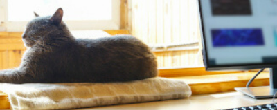 Best Practices for Working from Home