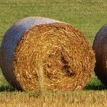 How to Measure Hay With a Weighing Scale