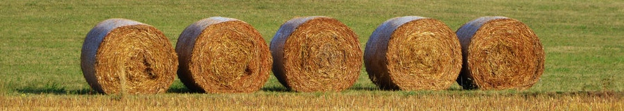 agriculture scales for hay bales
